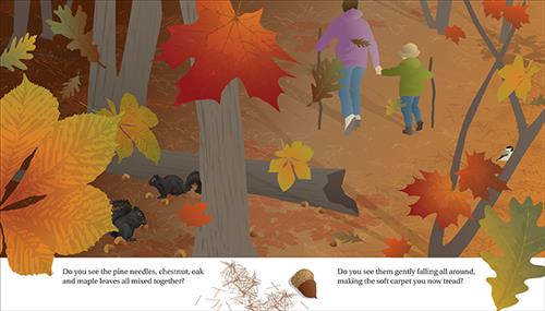  Forest: A See to Learn Book 