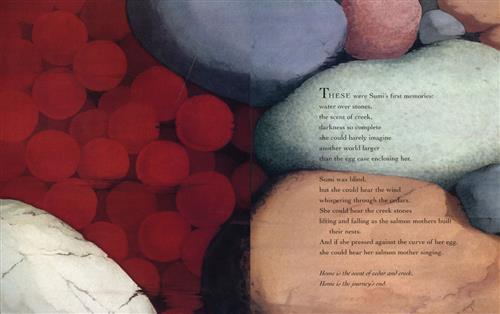  Egg sacs are on rocks. Text: These were Sumi’s first memories: water over stones, the scent of creek, darkness so complete she could barely imagine another world larger than the egg case enclosing her. Sumi was blind, but she could hear the wind whispering through the cedars. She could hear the creek stones falling as the salmon mothers built their nests. And if she pressed against the curve of her egg, she could hear her salmon mother singing. Home is the scent of cedar and creek. Home is the journey’s end 