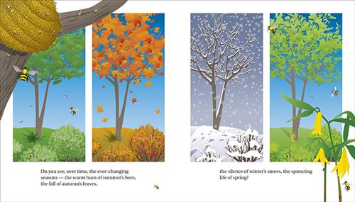  Forest: A See to Learn Book 