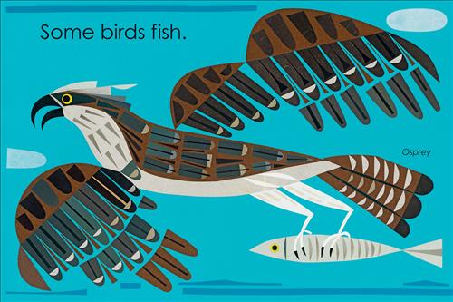  A large brown bird is flying with a grey fish caught in its claws. The bird is labelled “Osprey.” Text: Some birds fish. 
